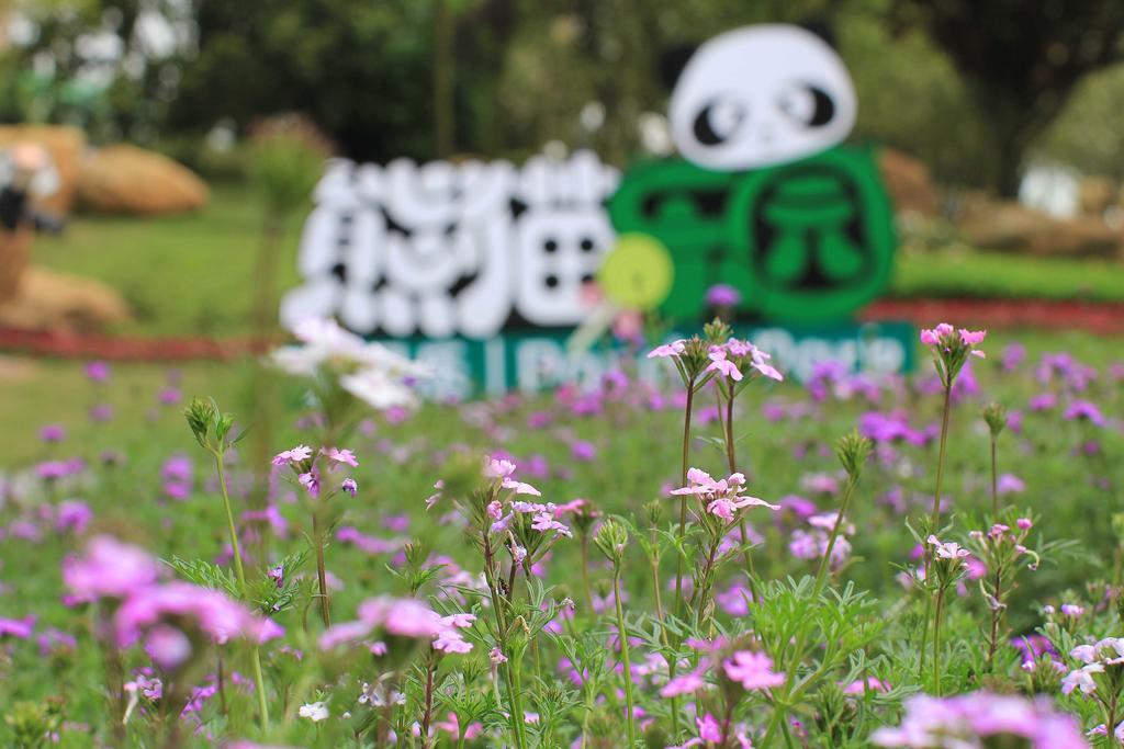 成都雅居乐豪生大酒店 外观 照片